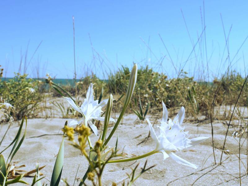 Il nostro territorio | Alternativa Pisticci 